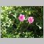 za0164.html